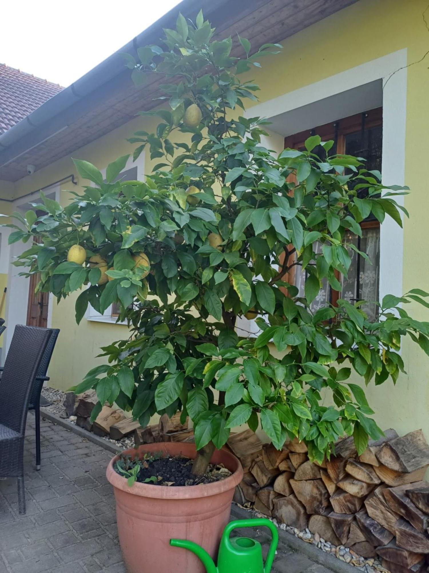 Zanati Apartmannhaz Nagykapornak 외부 사진